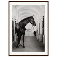 cbf92c6e-f371-432a-9c7d-cd7354fb53e0