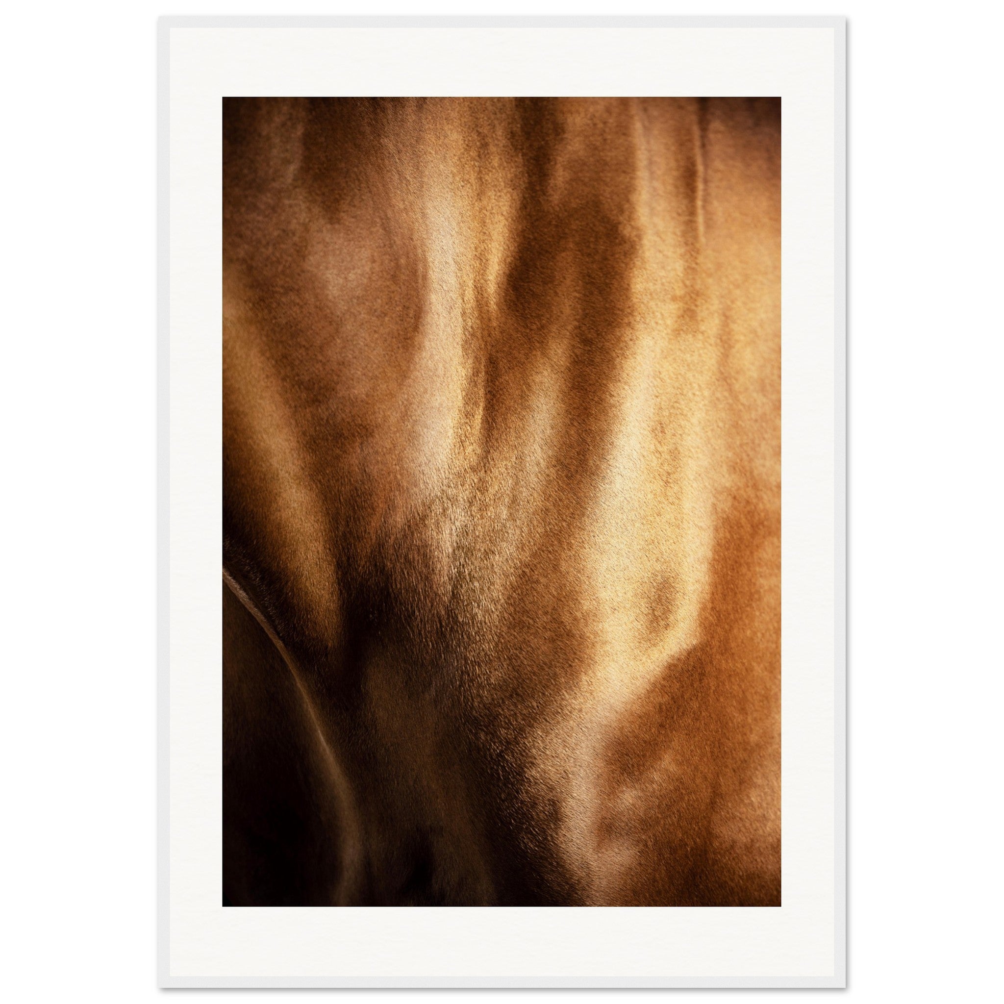 cc03b11b-2909-4bb7-beb5-fb7396a25855