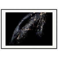 cc8c8c44-c1c8-411d-8abf-5ca3c932a712