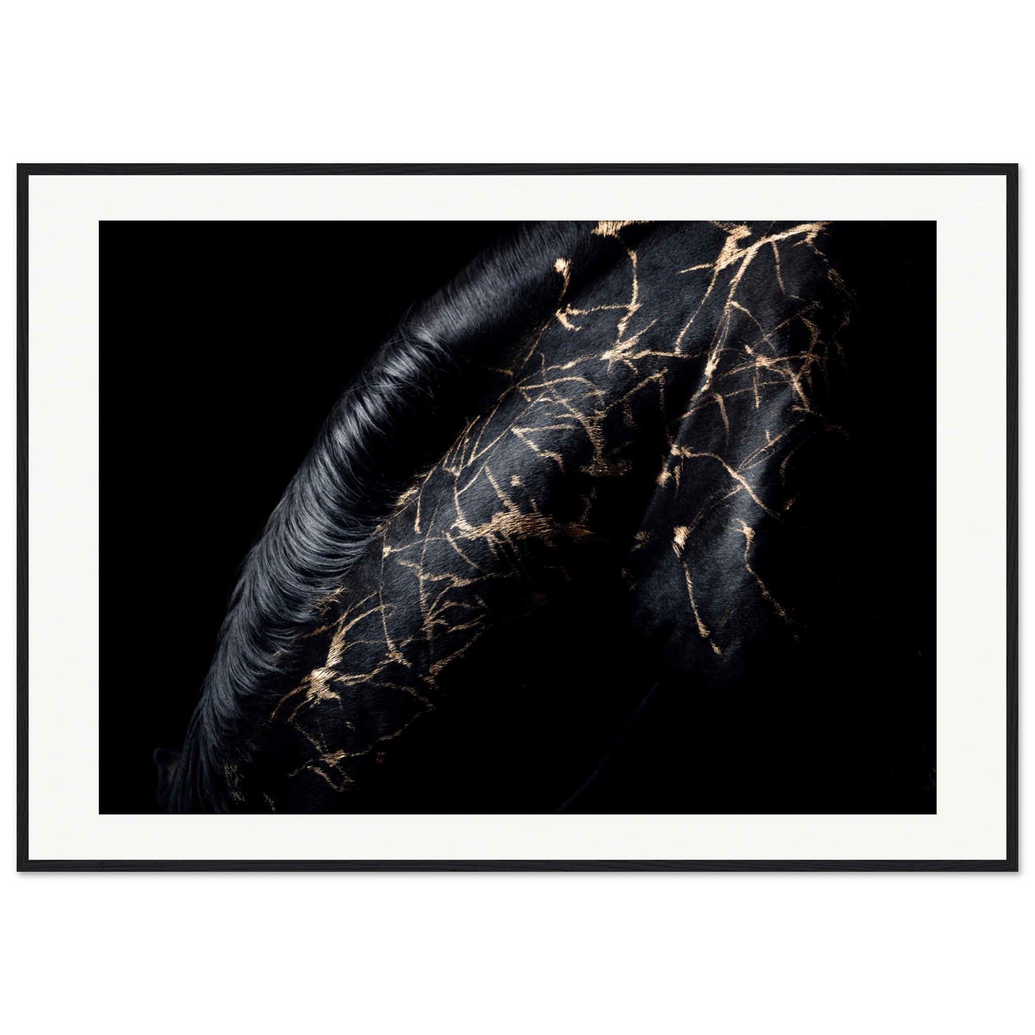 cc8c8c44-c1c8-411d-8abf-5ca3c932a712