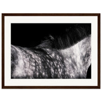 cc94117a-ba8a-4aad-b884-123f25fb6df2