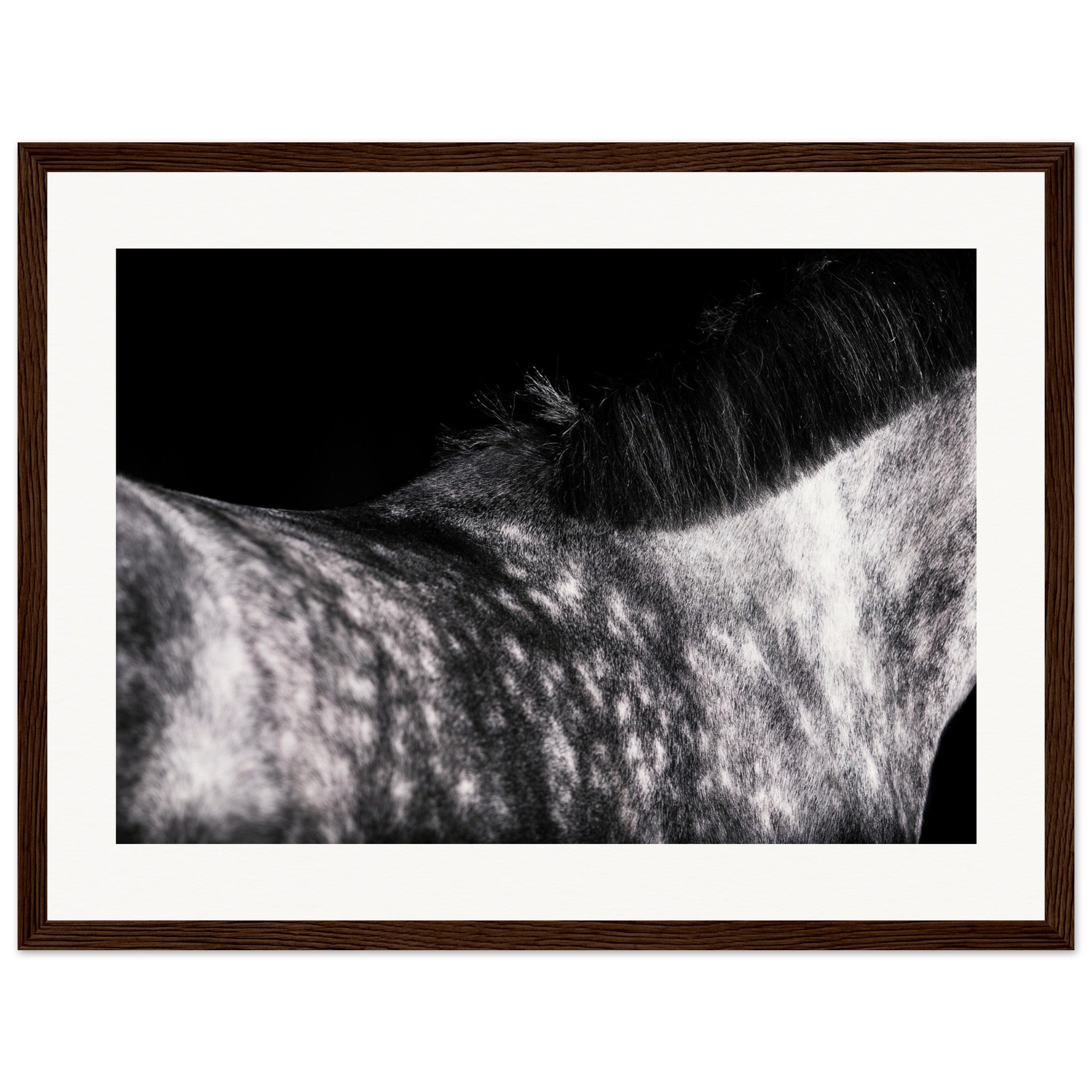 cc94117a-ba8a-4aad-b884-123f25fb6df2