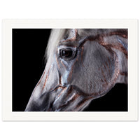 cc971ba4-938f-4f0d-960f-7ad9a083d32d