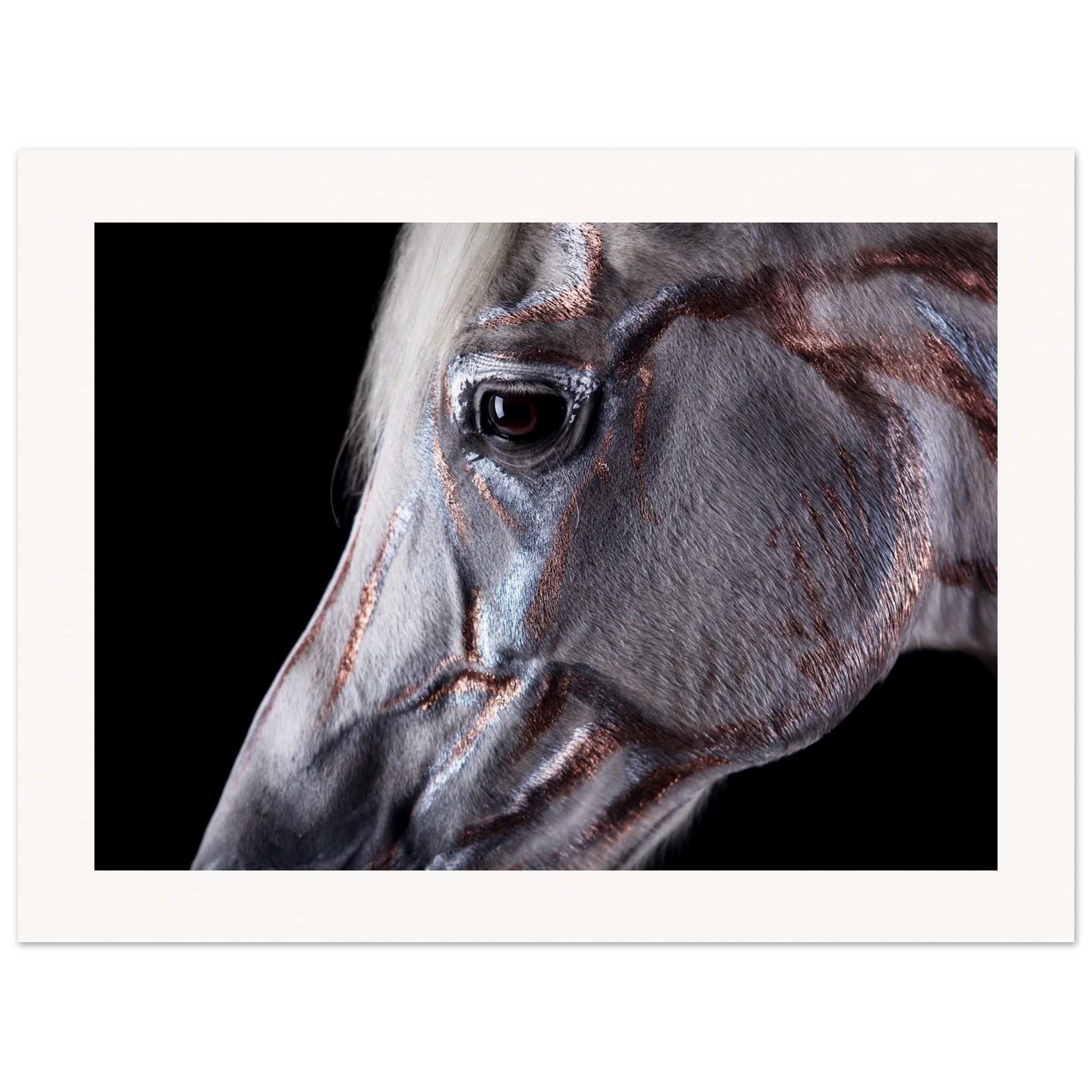 cc971ba4-938f-4f0d-960f-7ad9a083d32d