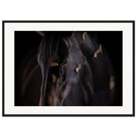 cca84a97-0130-43e2-befb-5fd97ee69d27