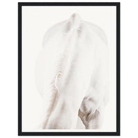 cce373c0-3c92-47dc-9656-3fca43382efb