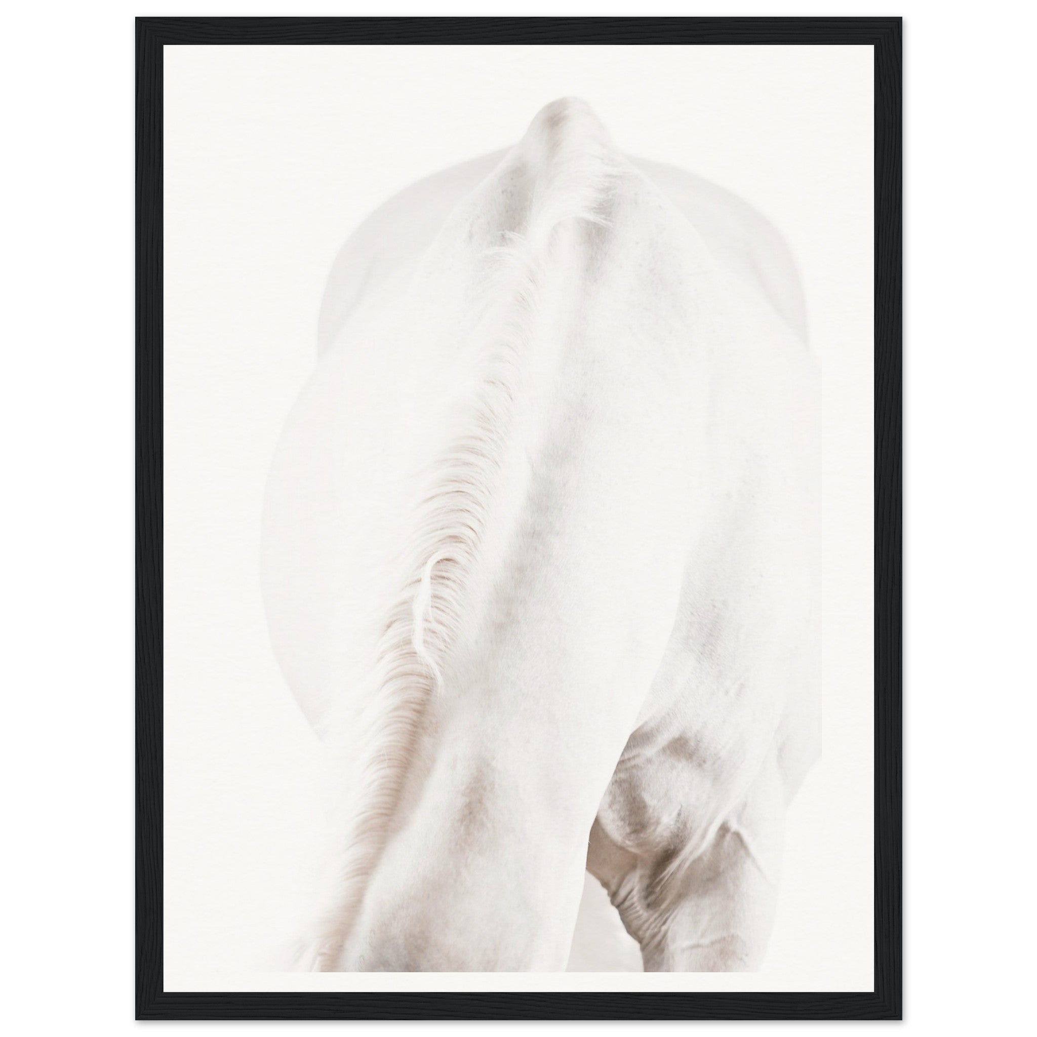 cce373c0-3c92-47dc-9656-3fca43382efb