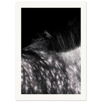 cce4e7e9-40b0-41b2-ba77-53694366c9a9