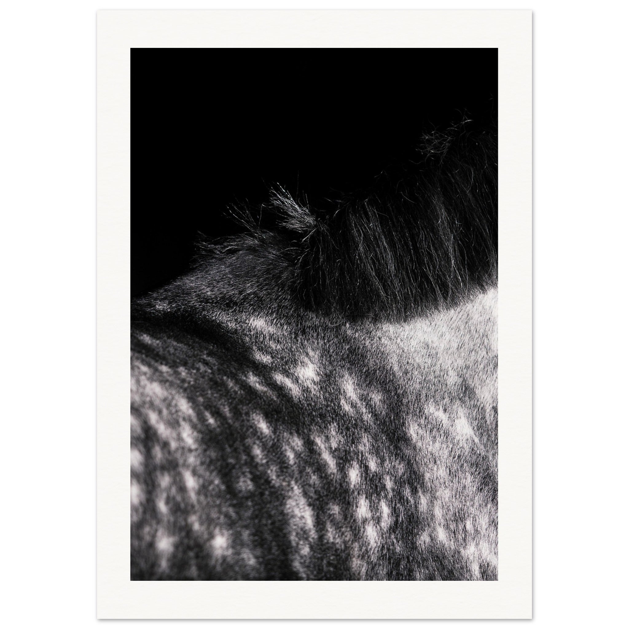 cce4e7e9-40b0-41b2-ba77-53694366c9a9