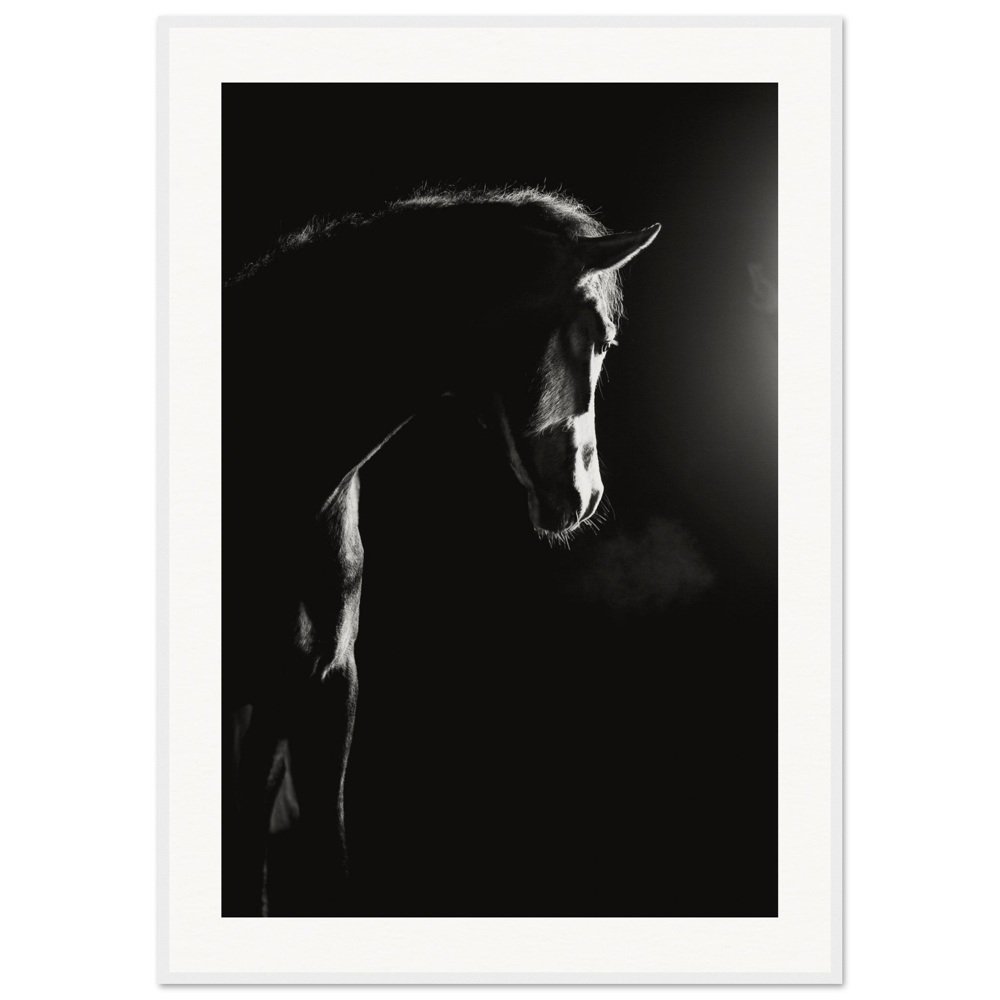 cd263641-a2c0-4bd2-80a1-62cf2a3367ee