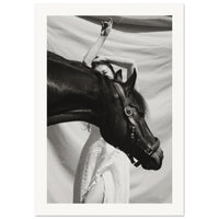 cd38ebd2-466f-47b5-87a5-d5d9e1fb999e