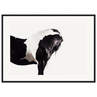 cd46739e-668b-48a7-97b5-f2c5d2bd622b