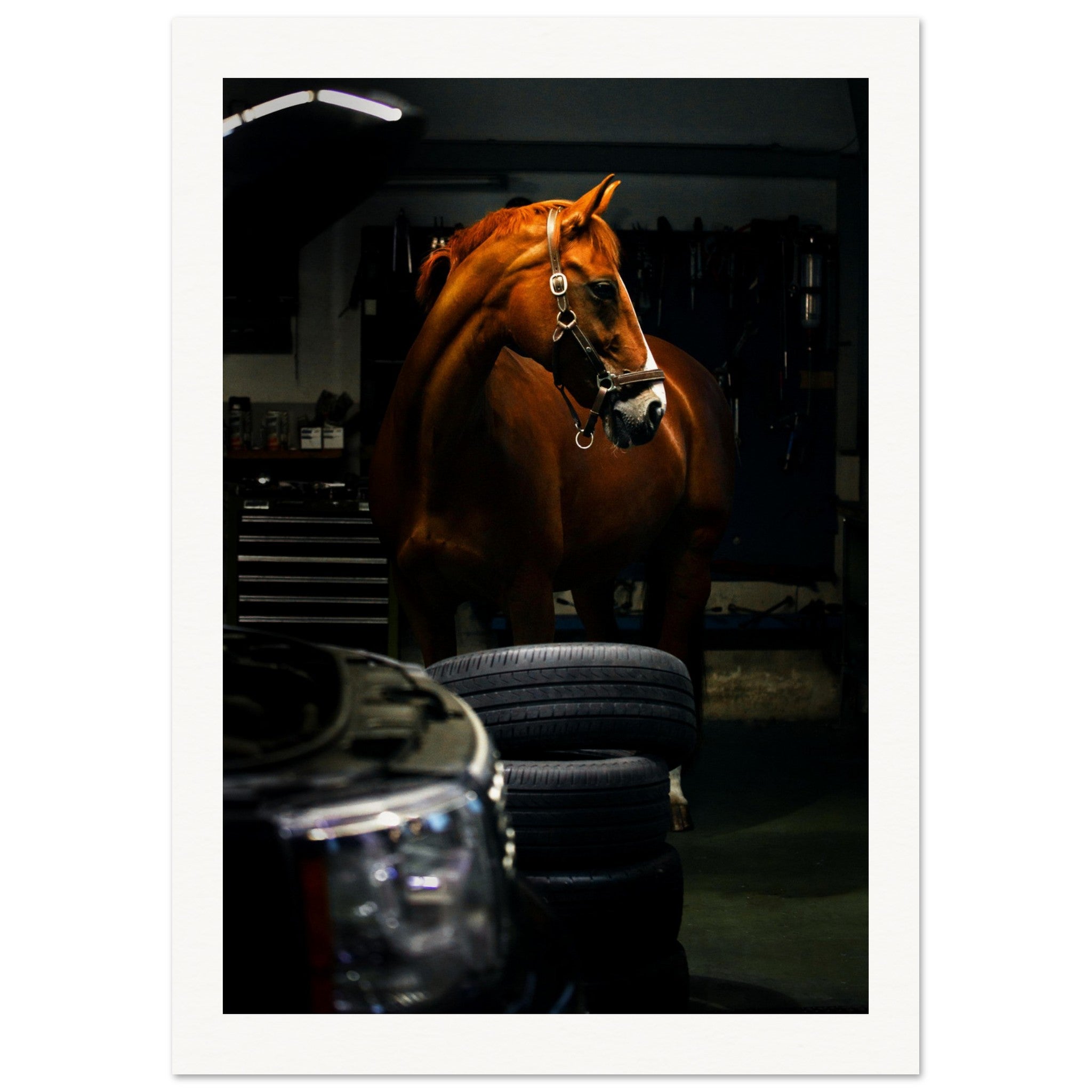 cd646720-0bc1-4fc1-a415-ea430609473b