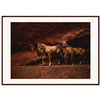 cd6597e6-7b91-4047-9ed3-3744dcf5e1b6