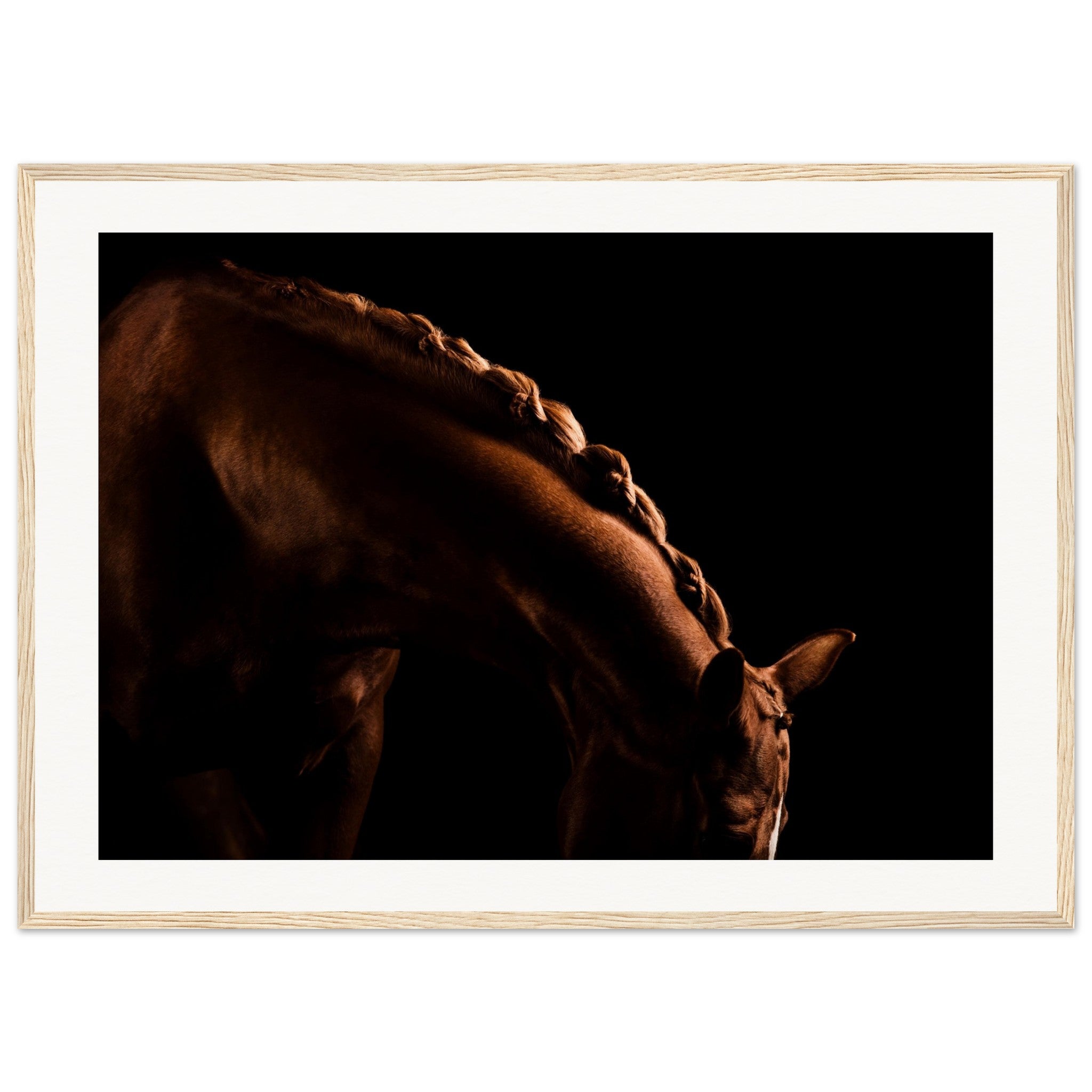 cd6c608c-6ff5-4c8f-8ada-fadb6a3c2439