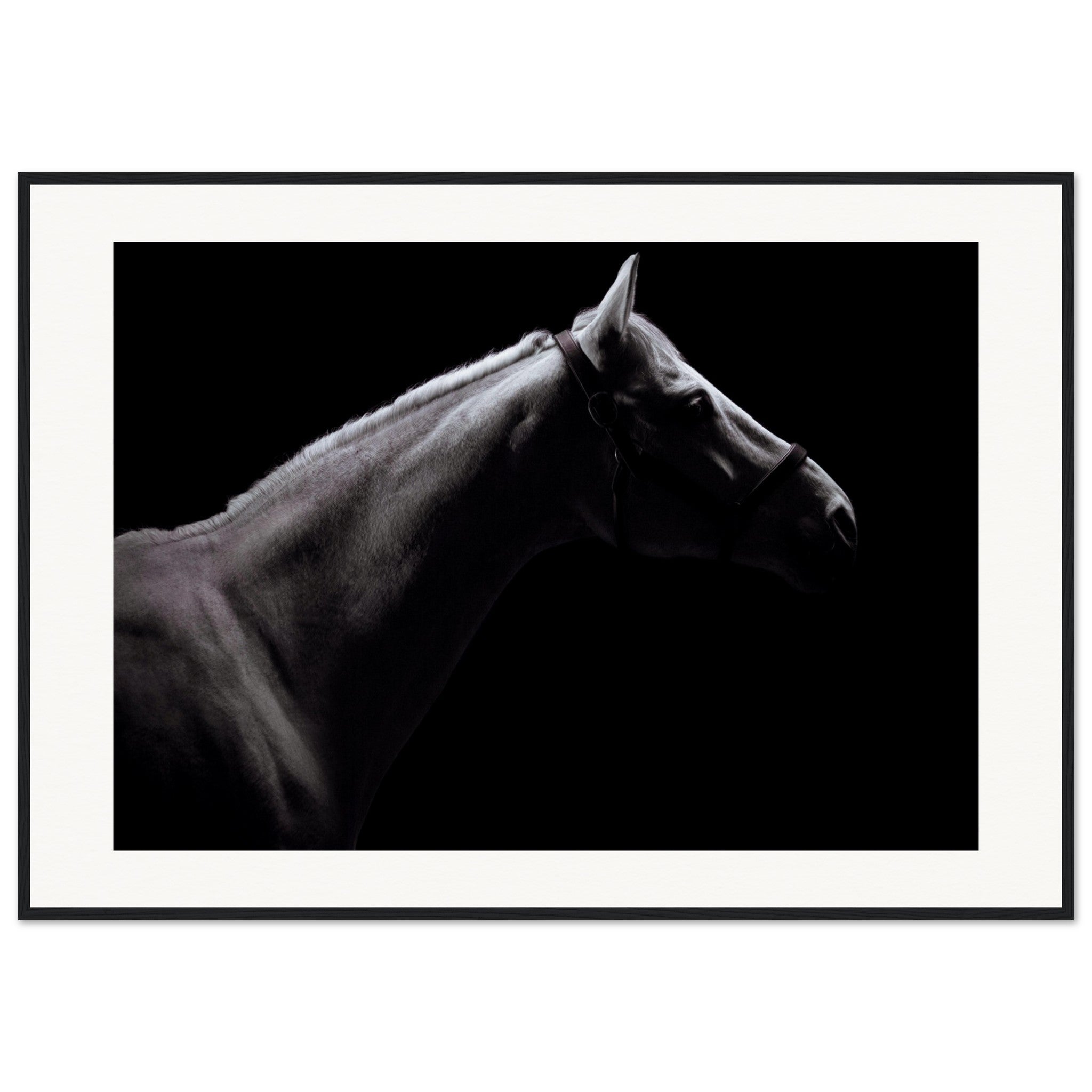 cd983ee6-7655-4045-9b9a-e6c95192fcf2