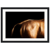 cdce50fe-9a0e-426c-945d-6240e46e799f