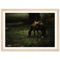 cdfd6d1d-9a6d-460c-a2b8-6bec1b5e0ed2