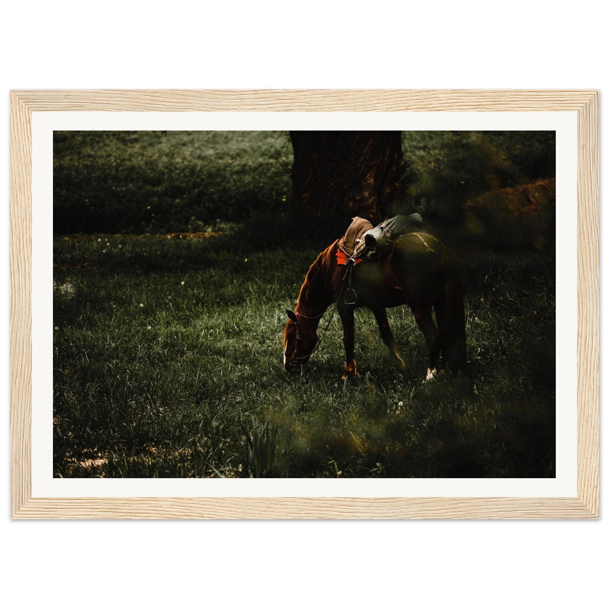 cdfd6d1d-9a6d-460c-a2b8-6bec1b5e0ed2