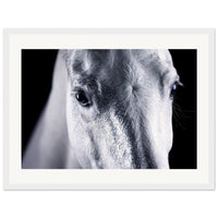 ce08d4b3-8c0b-4958-aa43-94c0bc4f07aa