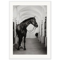 ce2788d9-3b09-4bfd-90ec-2502bf64493e