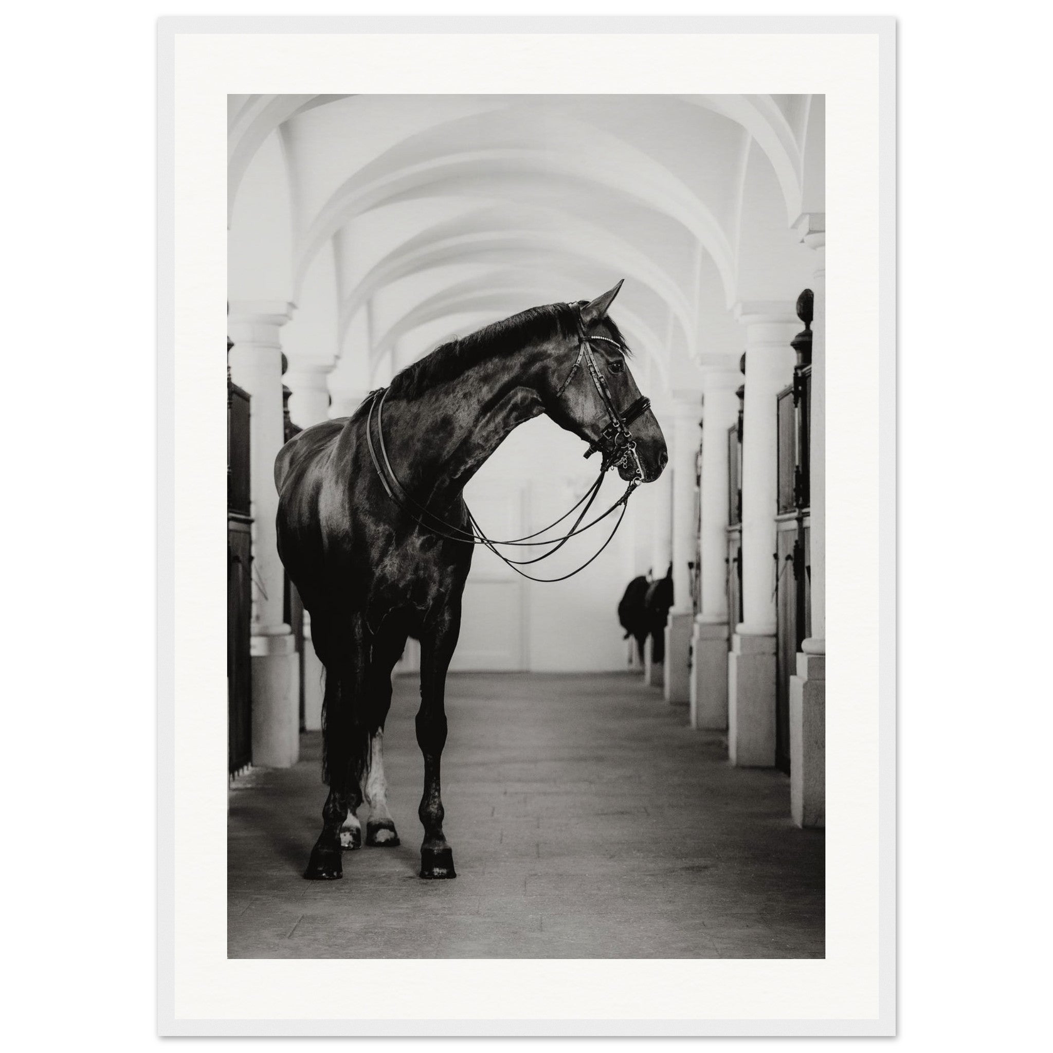 ce2788d9-3b09-4bfd-90ec-2502bf64493e