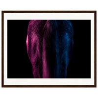 ce37e802-bb8b-42a1-be53-b3a2b6991881