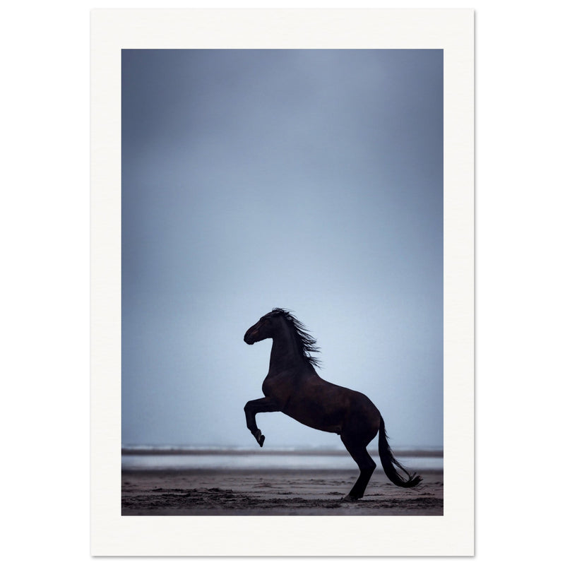 ce47ac59-347a-46b7-ad3d-1f737bd9d711