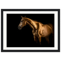 ce590601-5ab0-4bbd-82e7-90505effbb5f