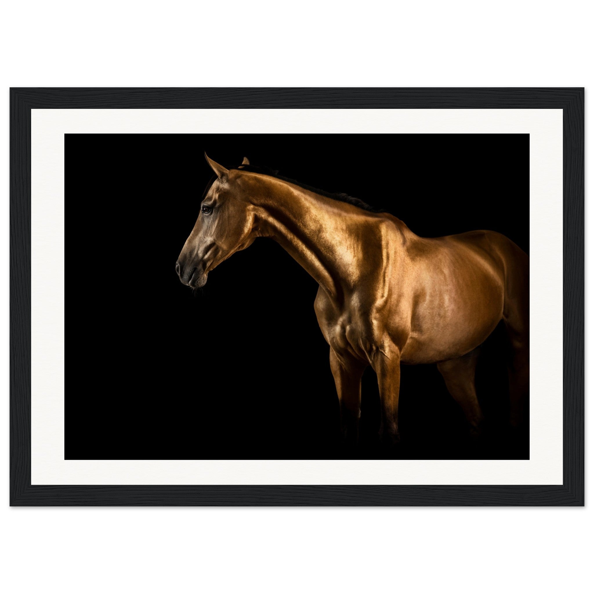 ce590601-5ab0-4bbd-82e7-90505effbb5f