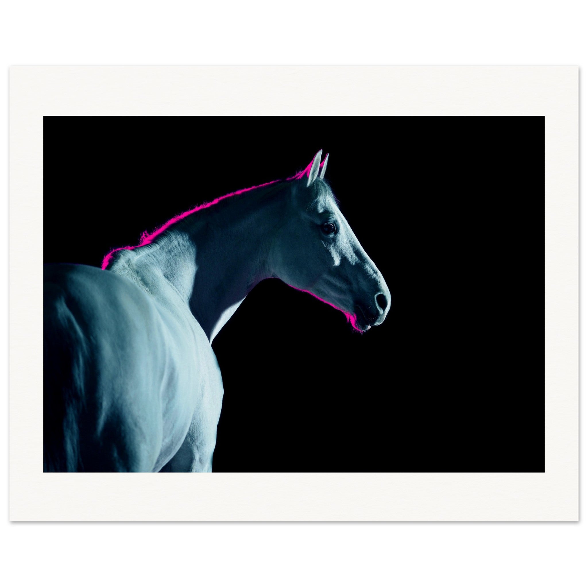 cec2fa88-00ef-4d82-9655-cd94da17896a