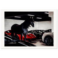 ced6dcea-bbda-4249-81ba-31286810fc02