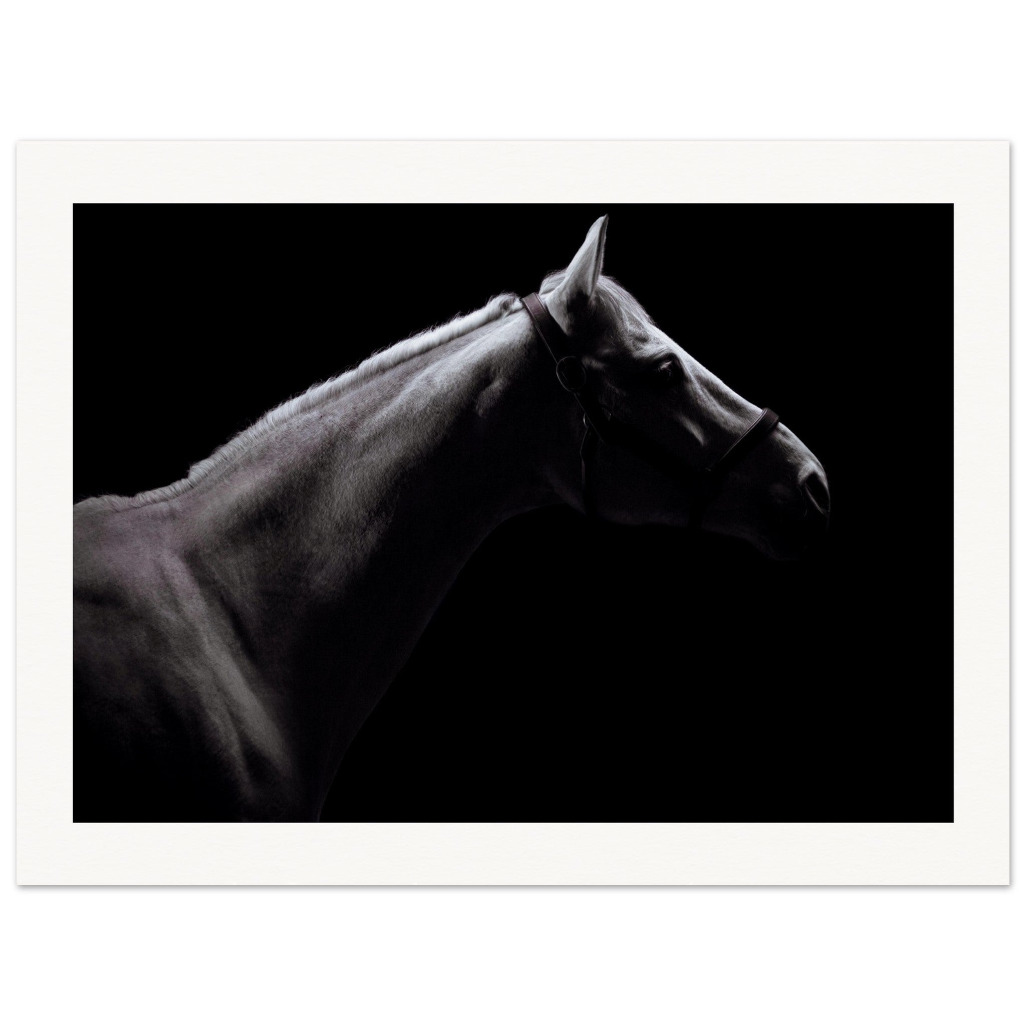 ceefb8ee-e000-402b-87ca-cc2abf501632