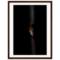 cf15a3c8-7d44-42c7-b33e-510512ea8d80