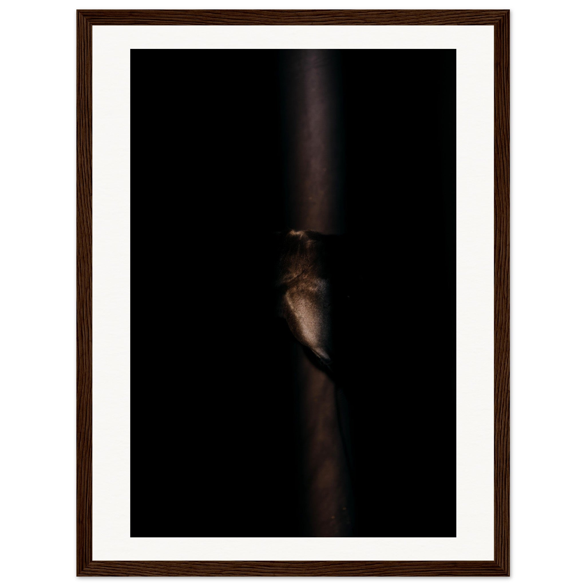 cf15a3c8-7d44-42c7-b33e-510512ea8d80