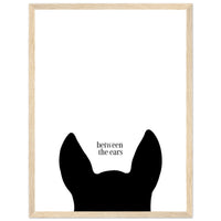 cf3a8887-8303-42b9-8f20-282e78ef8bc8