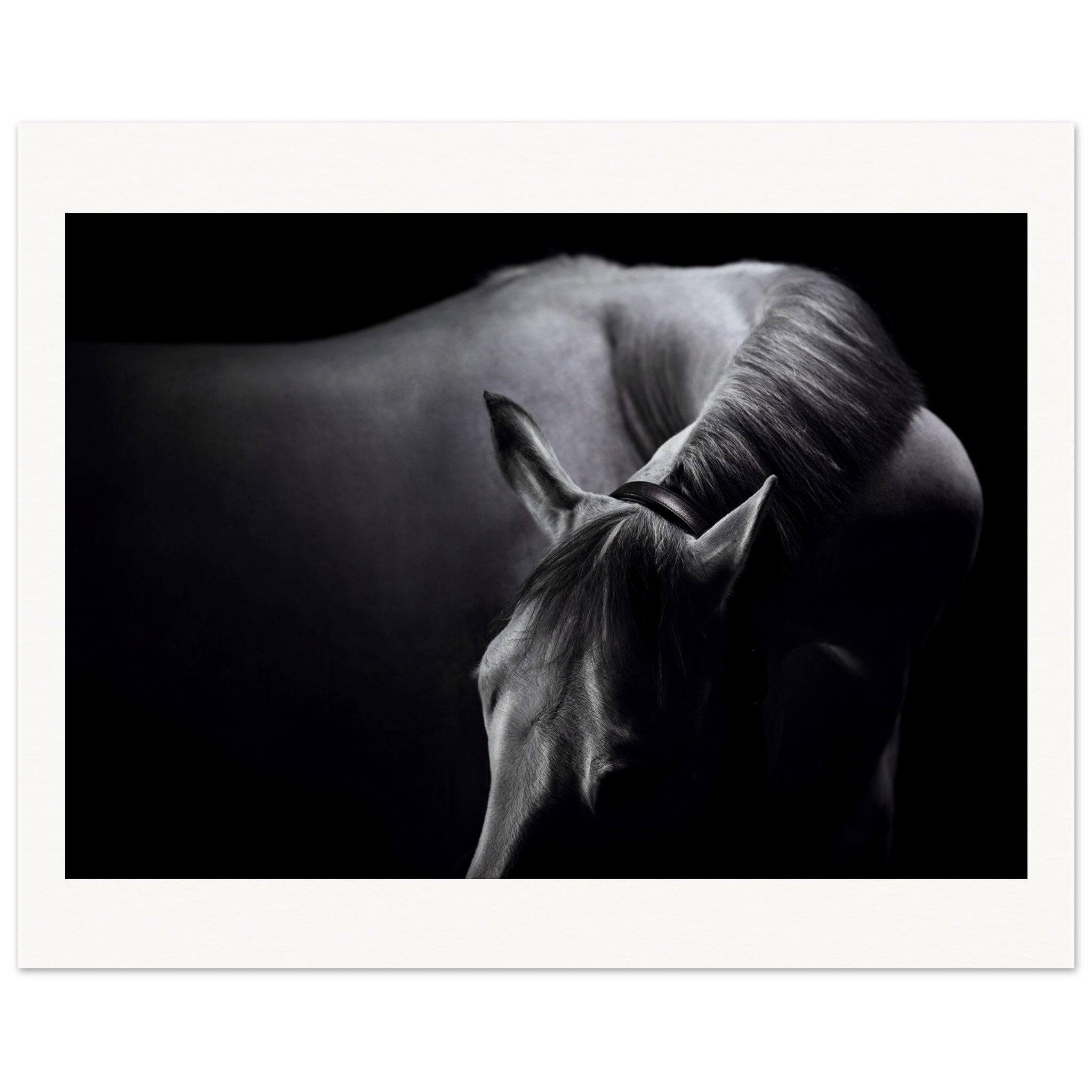 cf4ae783-fd04-4411-8832-c3c67f88bf61