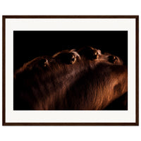 cf5105cb-7dd2-4597-8899-77a81694e5d2