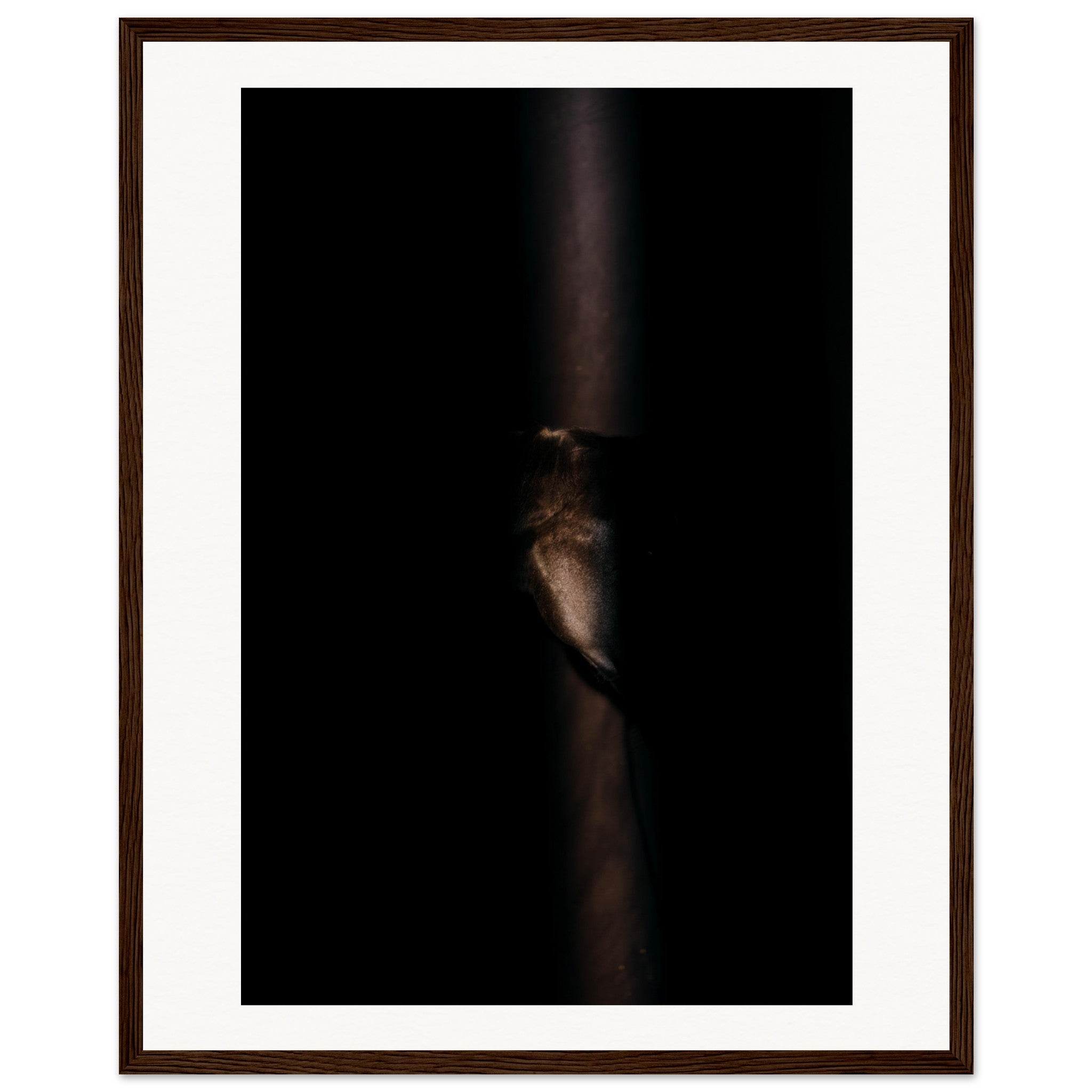 cf71fa25-6934-4709-97df-6d7fe37efd80