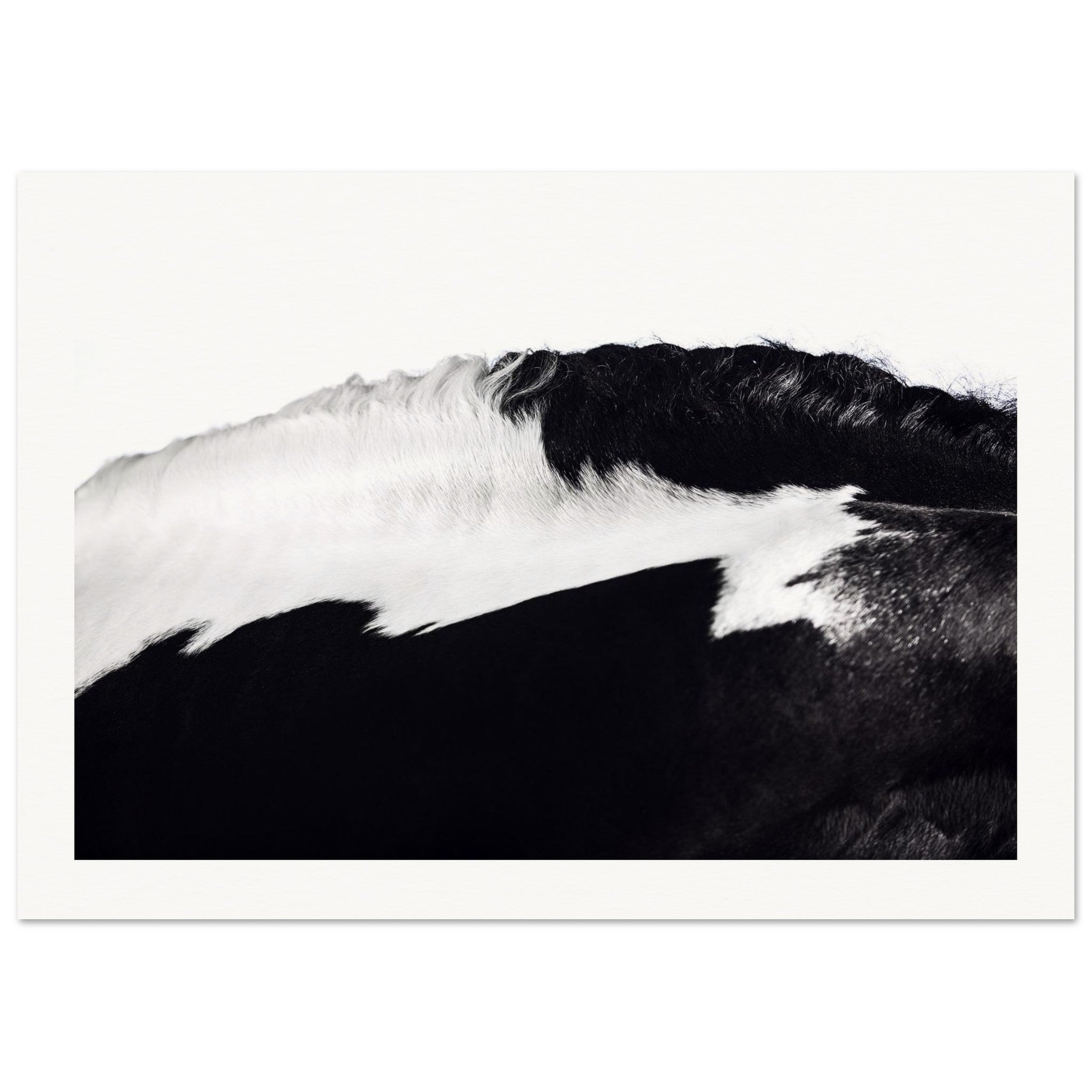 cfe3a833-91f0-4318-aa22-d1c44ae23d98