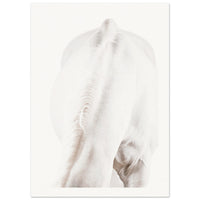 d007bb4c-6cae-4042-84ec-deddb62b4b47