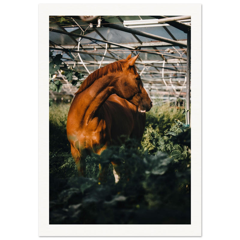 d01a7814-296b-4b6f-8dc3-acec2e788f43