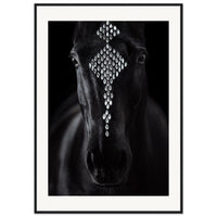 d01e2d87-8a97-418b-ade2-ebdc7242ab97