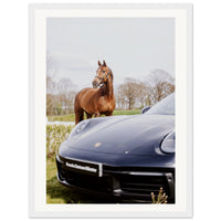 d01e344e-e569-4399-b103-edfac1324eb3