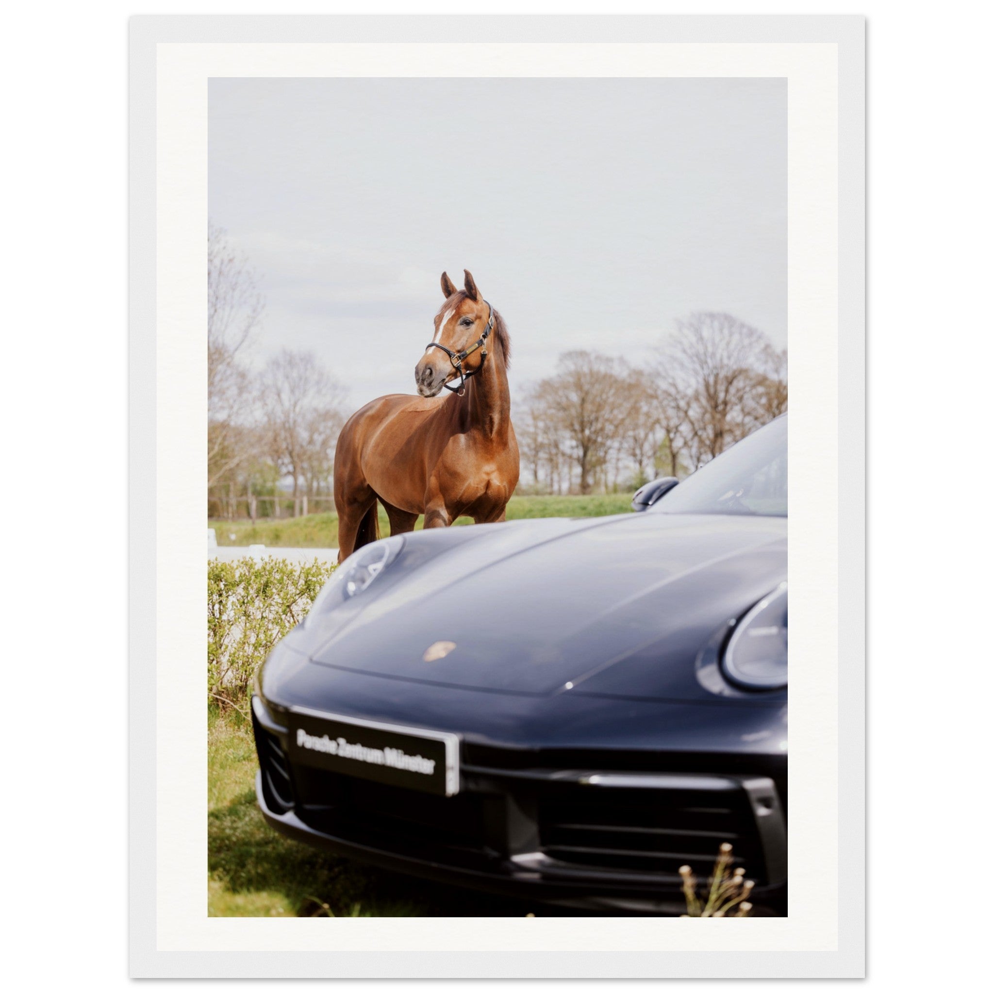 d01e344e-e569-4399-b103-edfac1324eb3