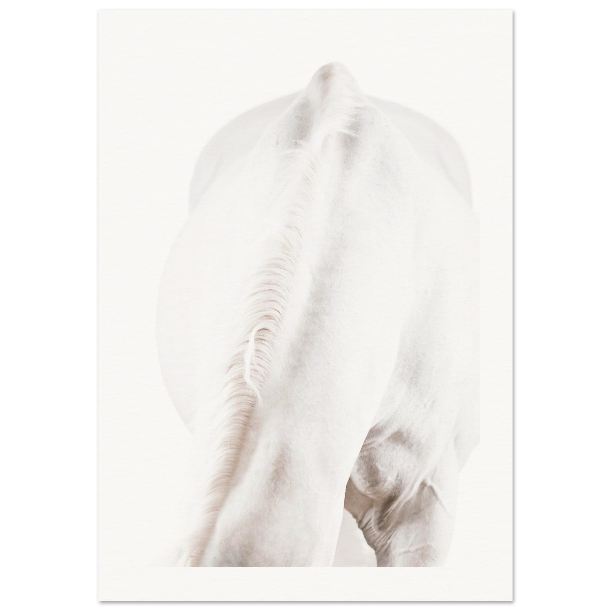 d066e0a5-a138-4300-96dd-451e83c234ff