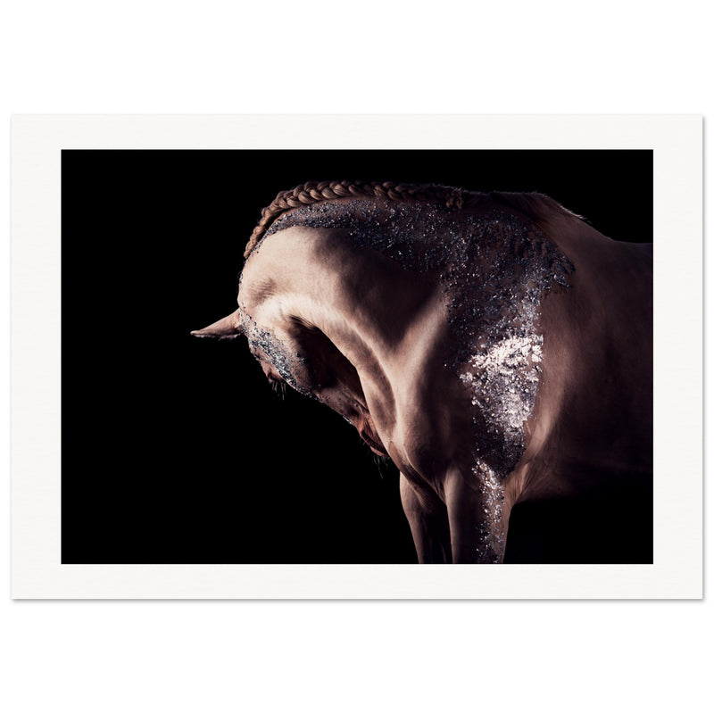 d070003d-096c-4edb-8c29-f48945fbb623