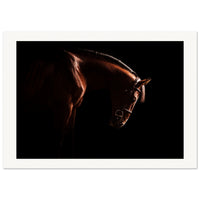 d0797b75-8dfb-4dd9-9fc1-53344160d1d0