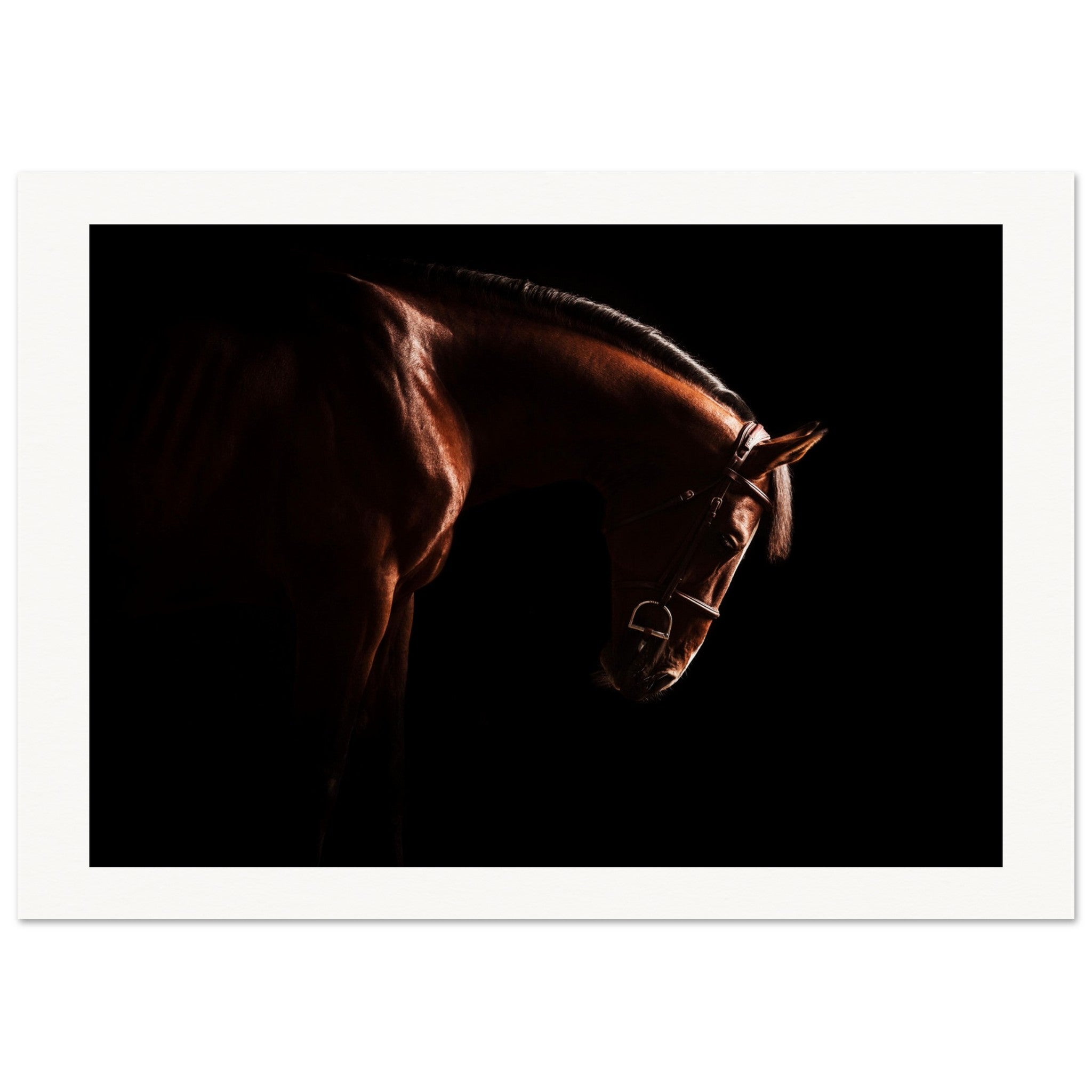 d0797b75-8dfb-4dd9-9fc1-53344160d1d0