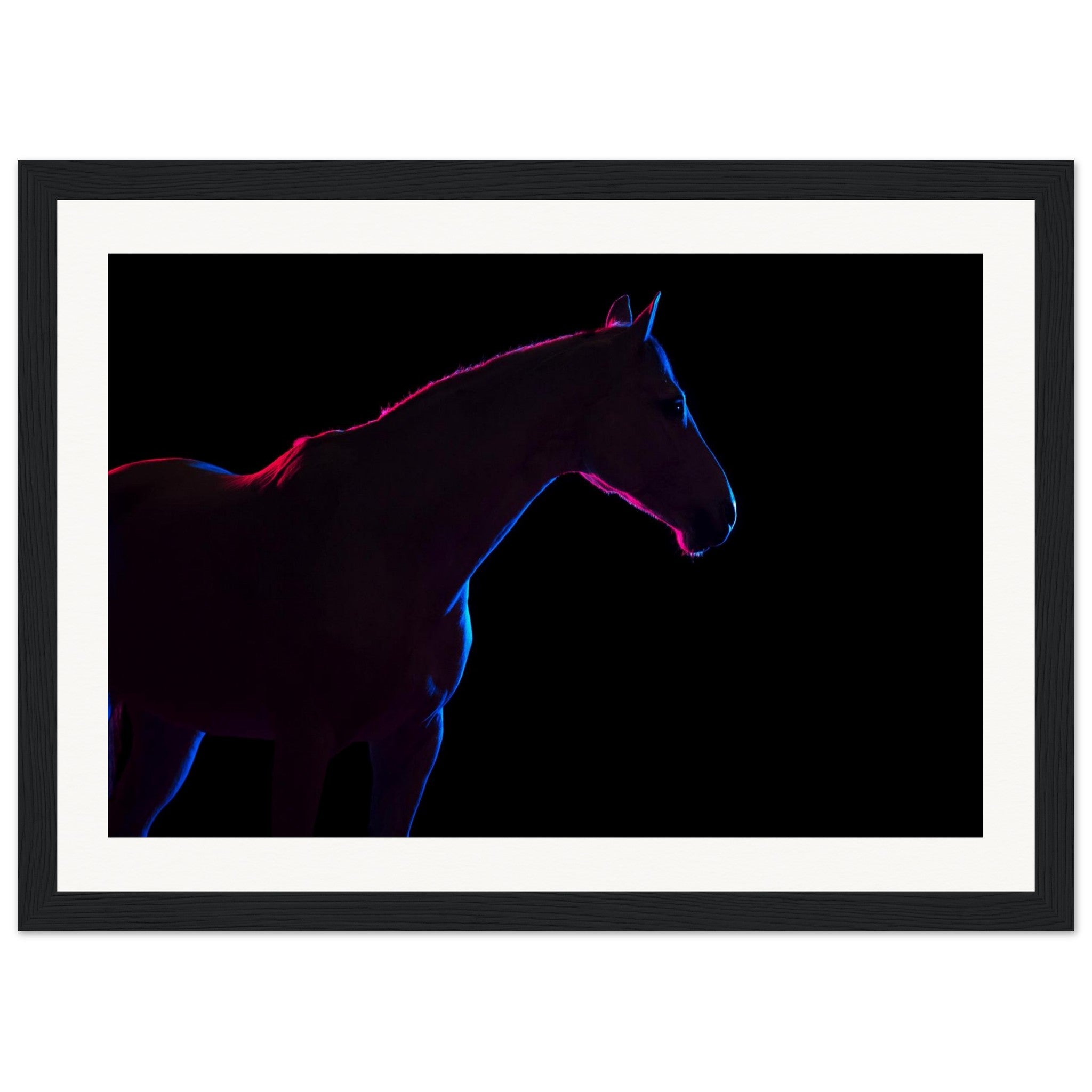 d0b13735-73e1-43f4-be61-6c9d3f176cf2